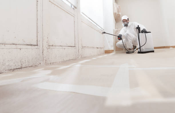 24/7 Emergency Mold Inspection experts in Belleville, MI