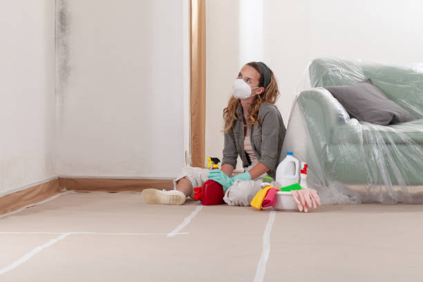 Reliable Mold Inspection contractor in Belleville, MI by WQB Mold Removal
